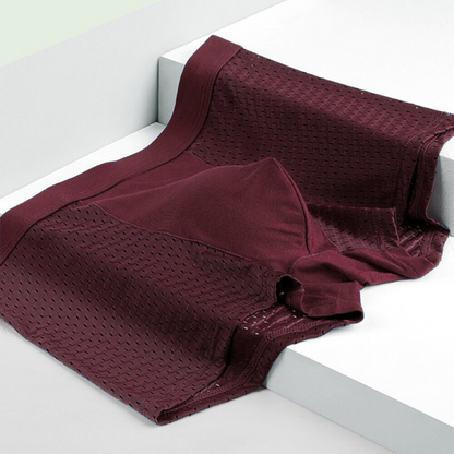 Men's Boxer Briefs with Textured Mesh Panel 10-Pack
